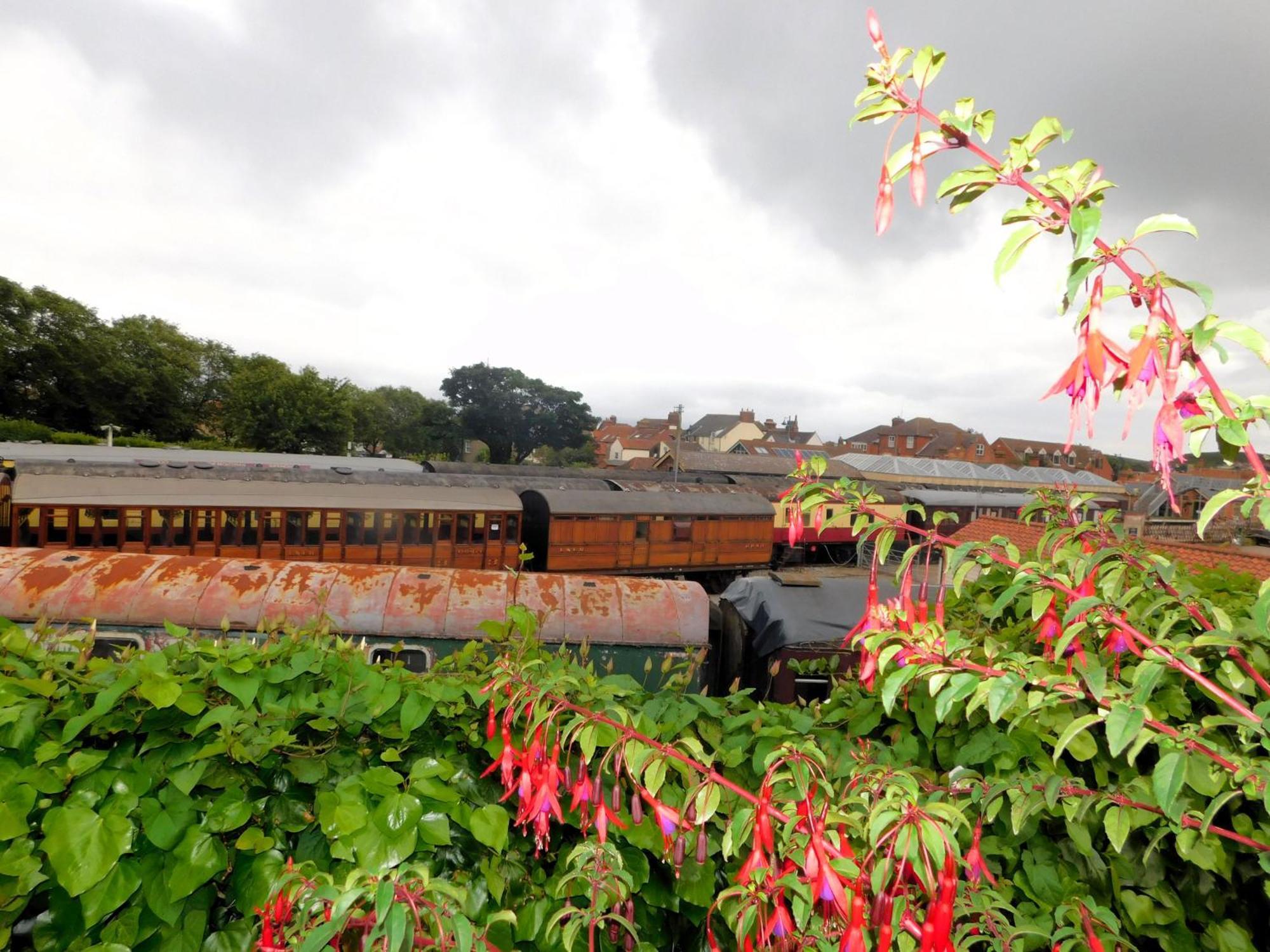 The Hive * Sheringham